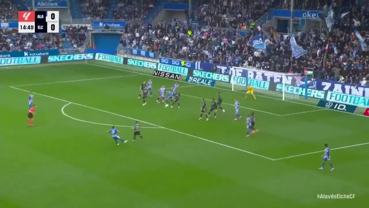zaslepka skrotu video