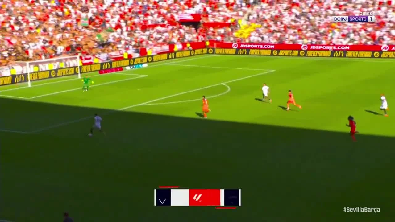 zaslepka skrotu video