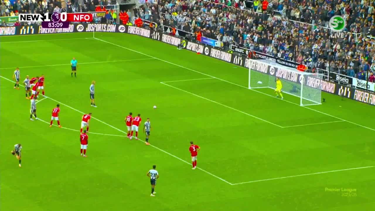 zaslepka skrotu video