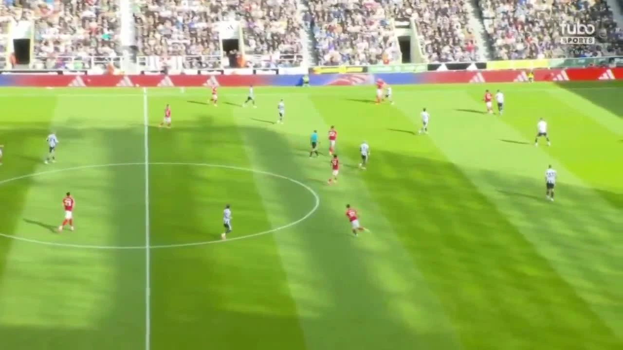 zaslepka skrotu video