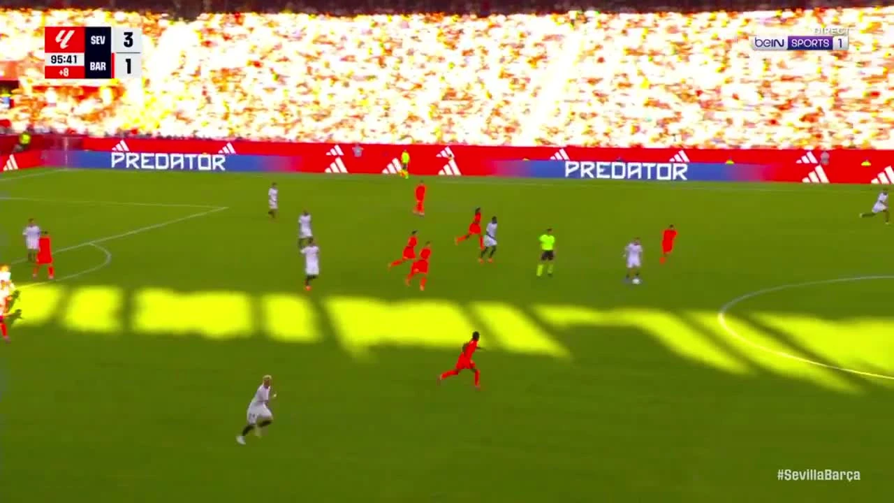 zaslepka skrotu video