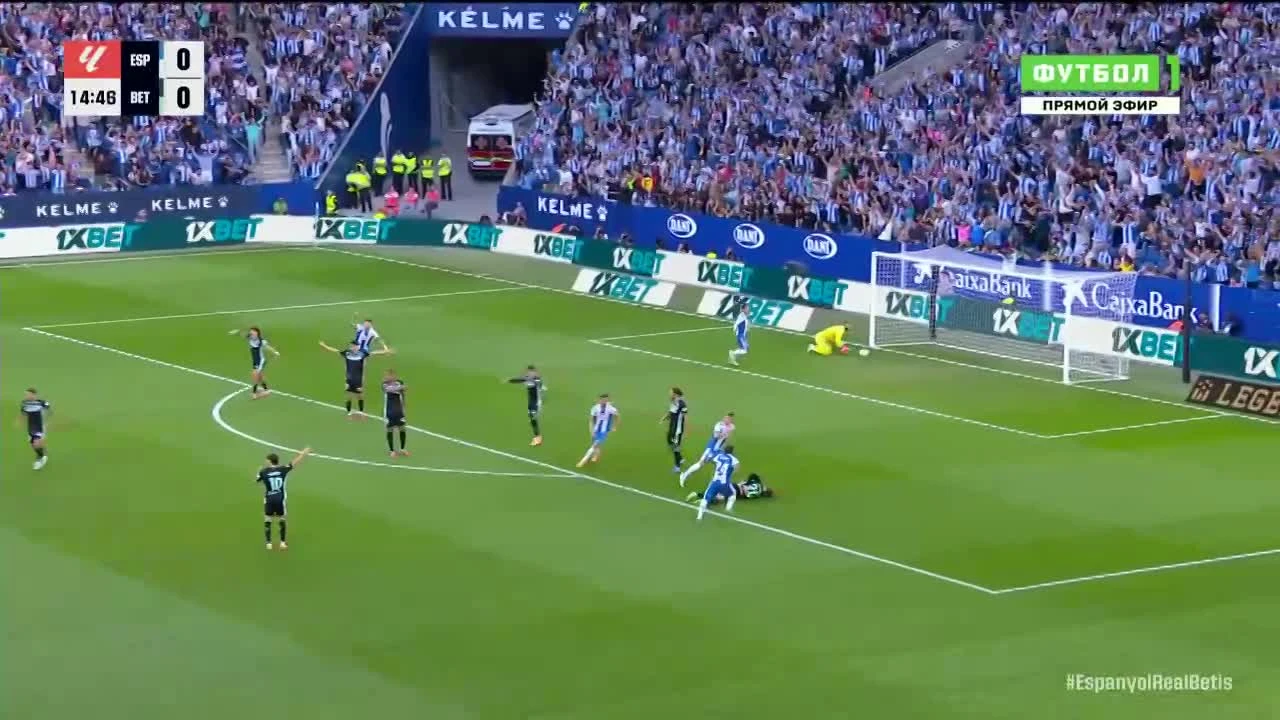 zaslepka skrotu video