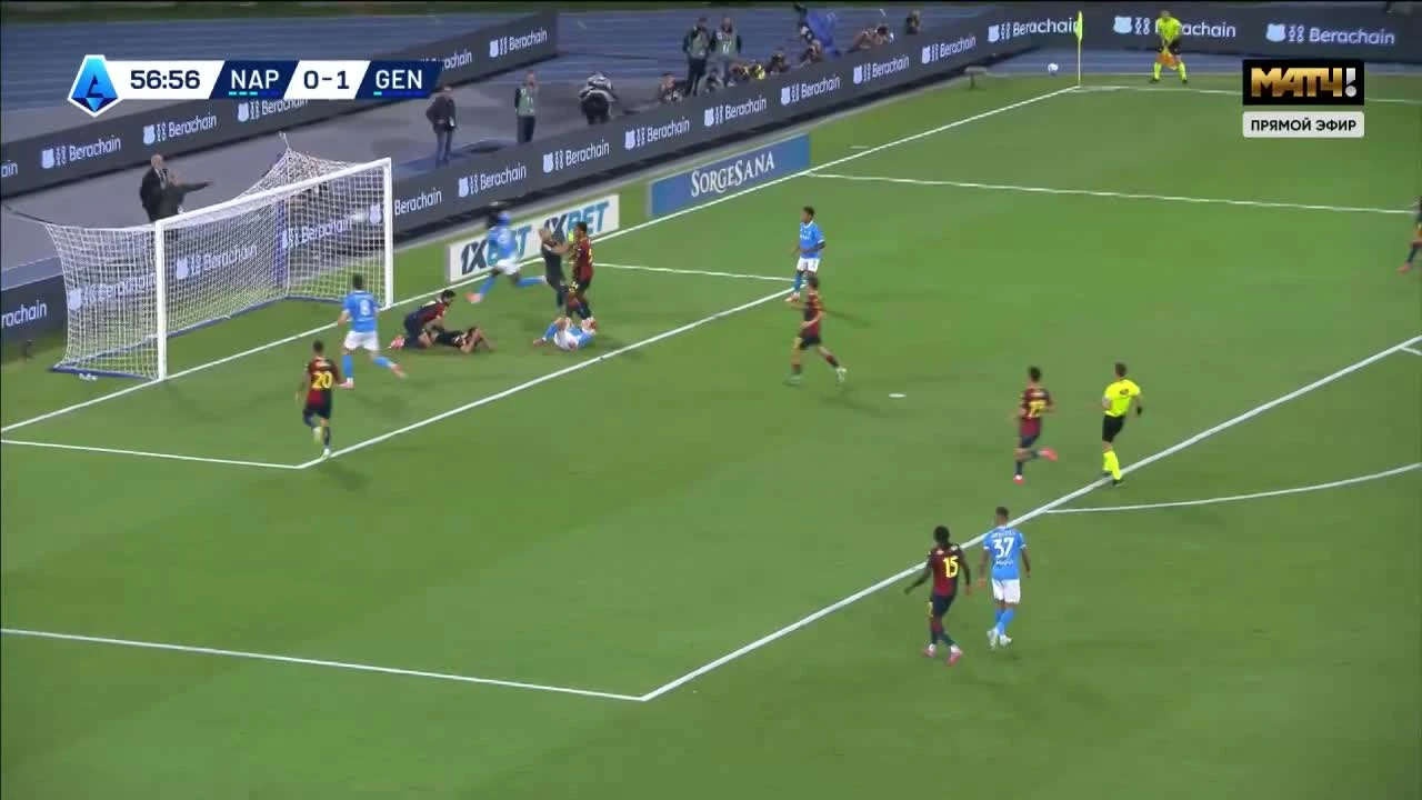 zaslepka skrotu video