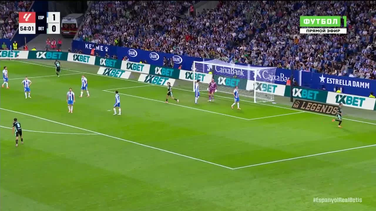 zaslepka skrotu video