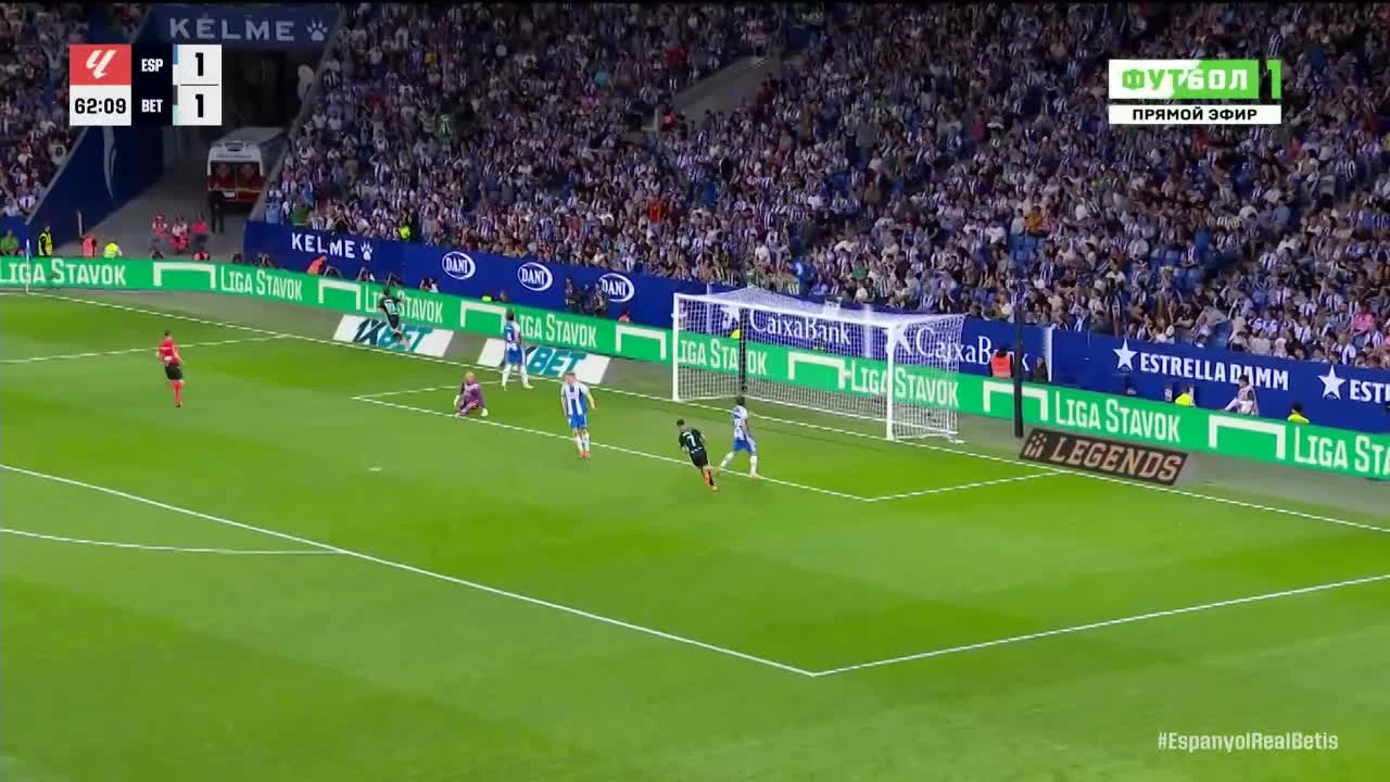 zaslepka skrotu video