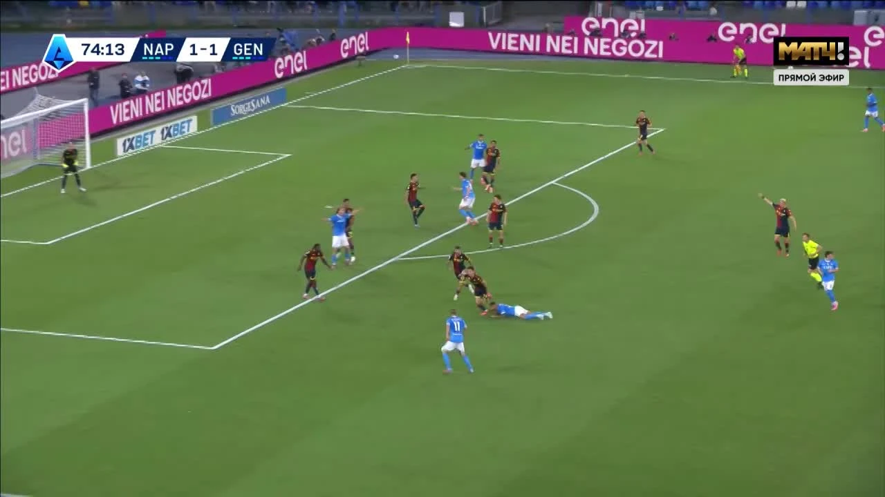 zaslepka skrotu video