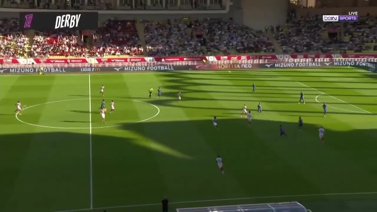 zaslepka skrotu video