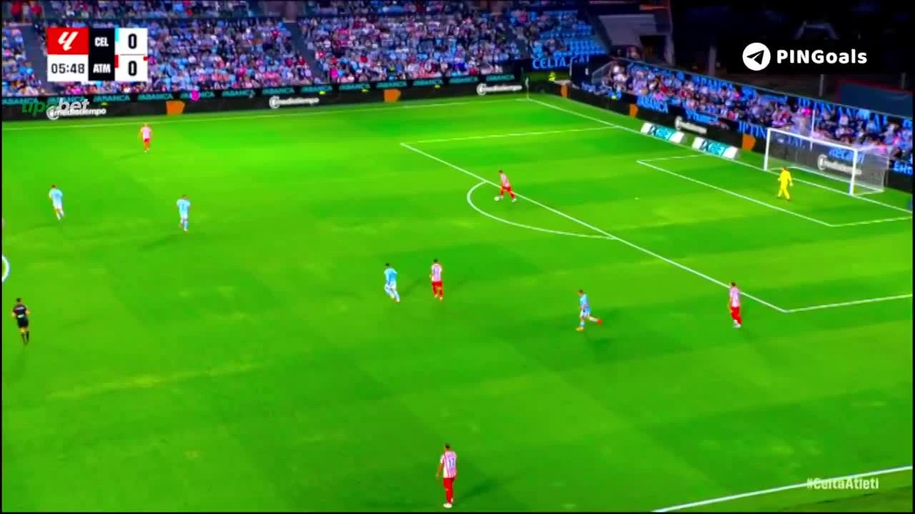zaslepka skrotu video