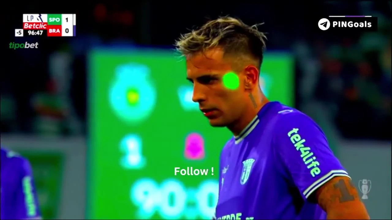 zaslepka skrotu video