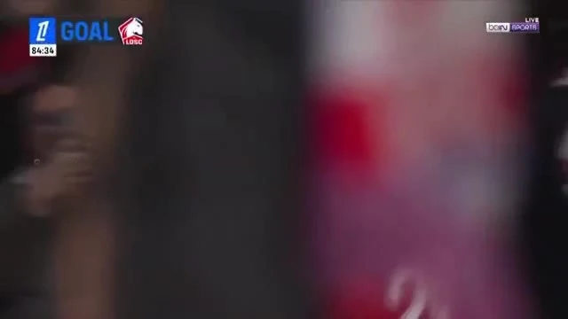 zaslepka skrotu video
