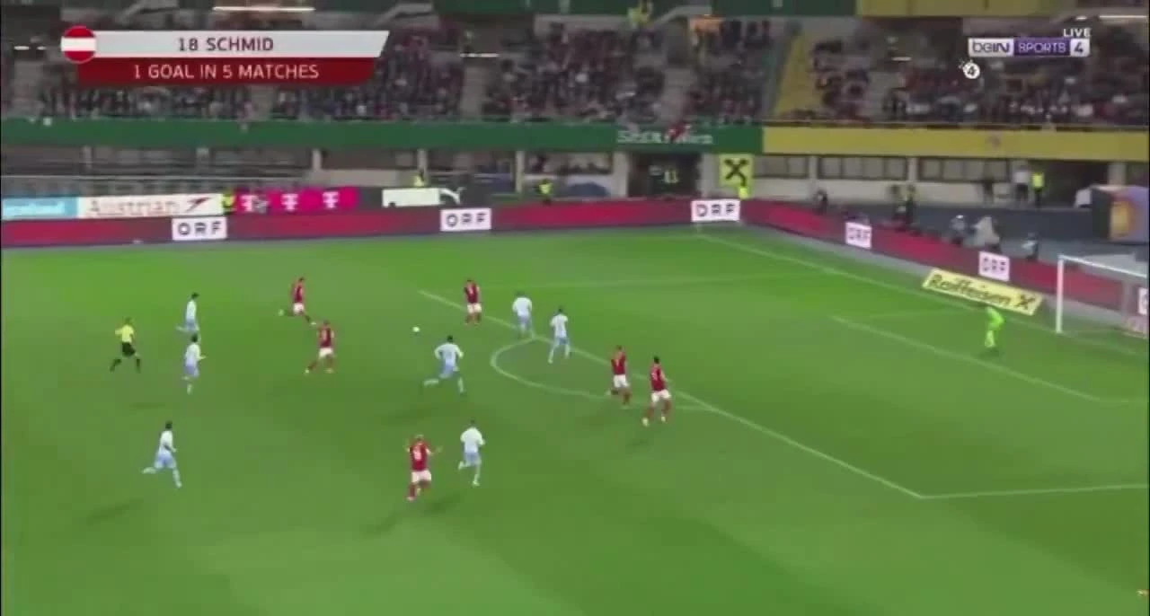 zaslepka skrotu video