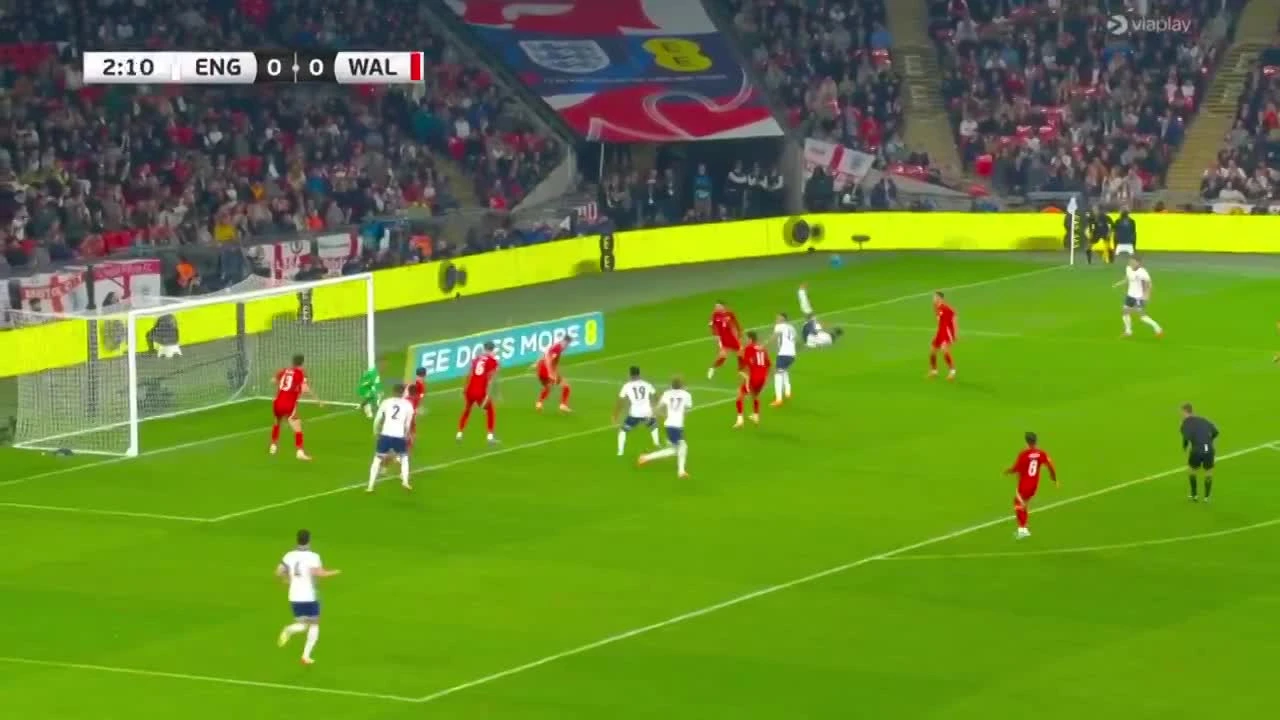 zaslepka skrotu video