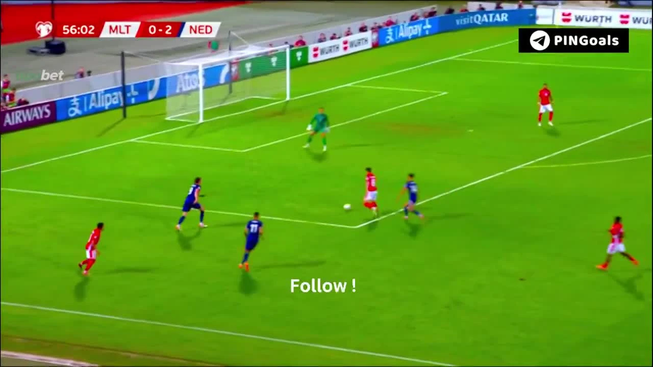 zaslepka skrotu video