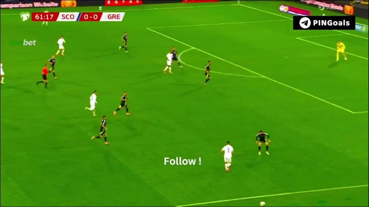 zaslepka skrotu video