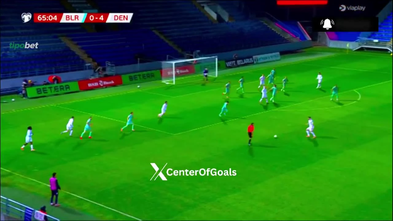 zaslepka skrotu video