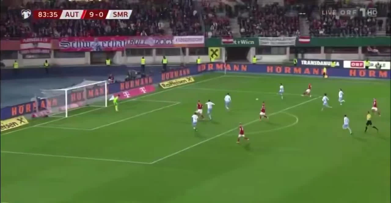 zaslepka skrotu video