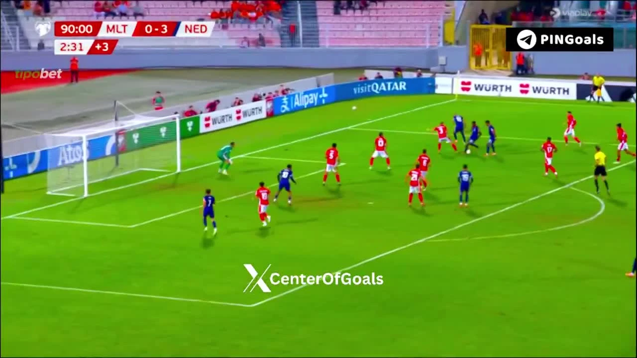 zaslepka skrotu video