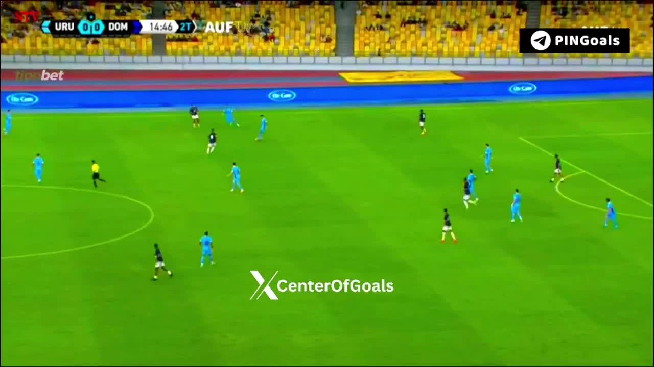 zaslepka skrotu video