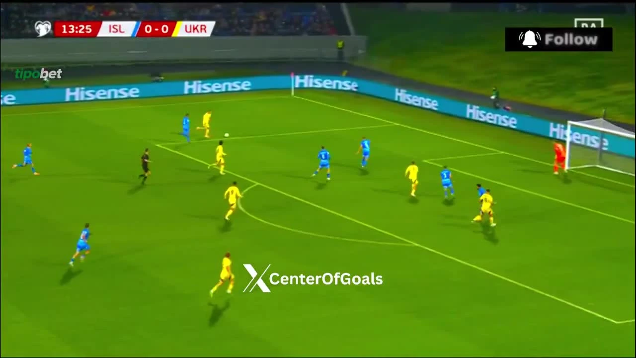 zaslepka skrotu video