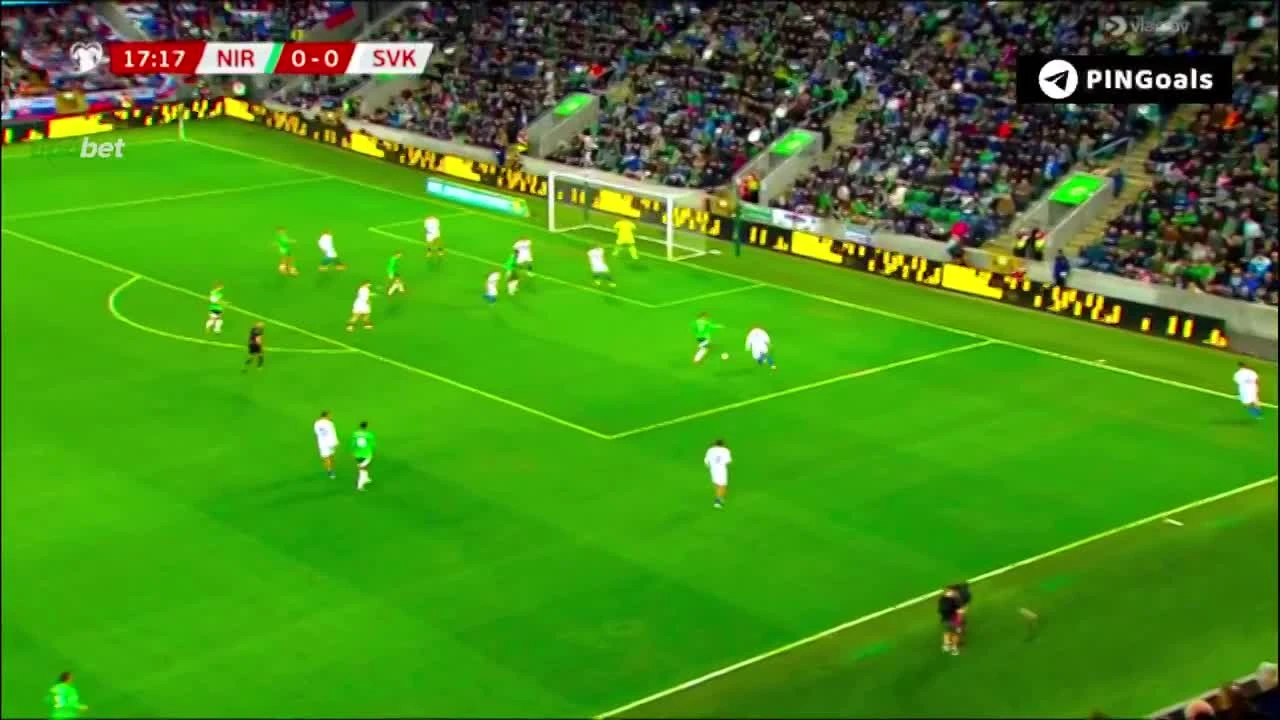 zaslepka skrotu video