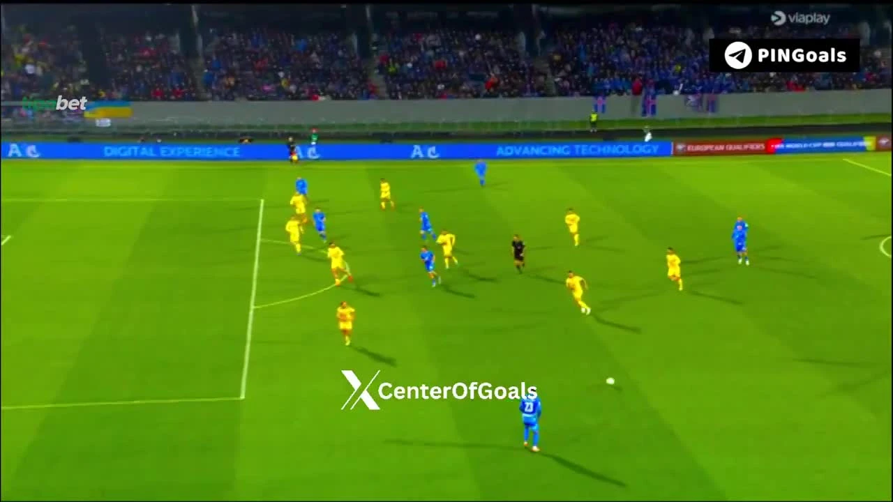 zaslepka skrotu video