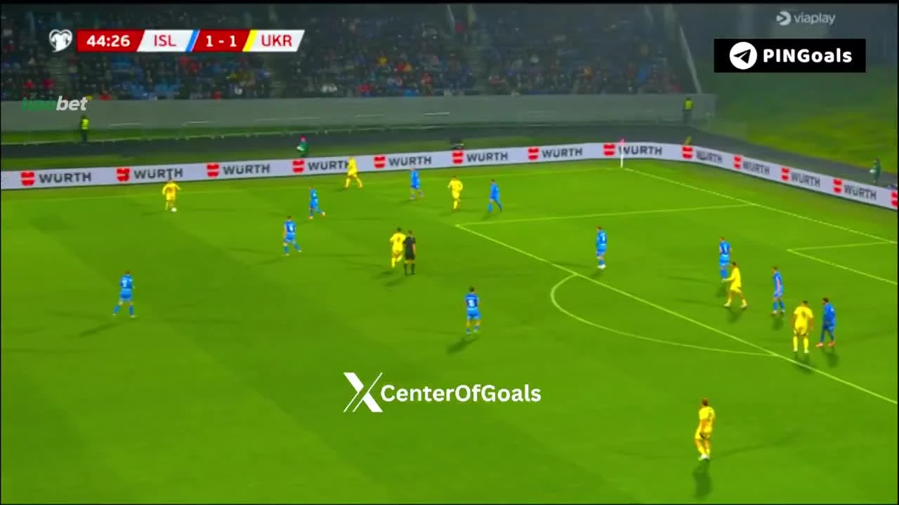 zaslepka skrotu video