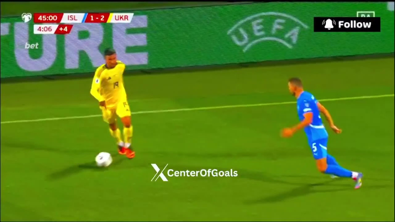 zaslepka skrotu video