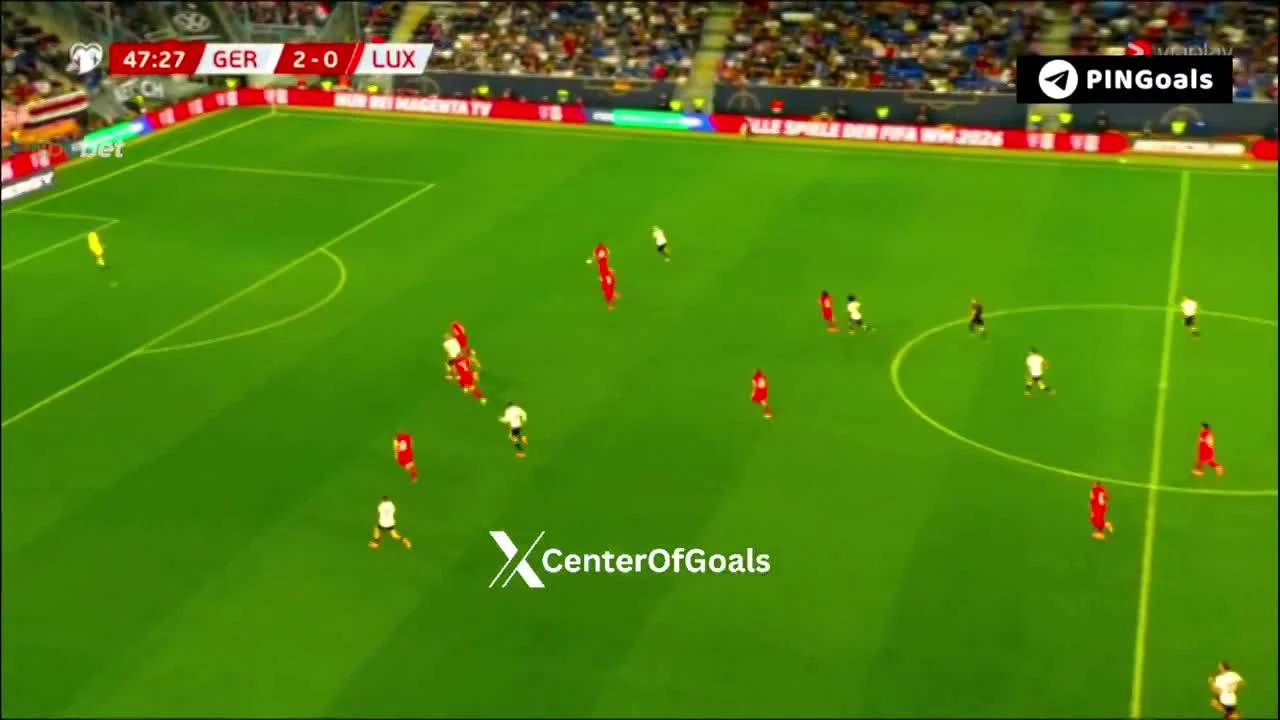 zaslepka skrotu video