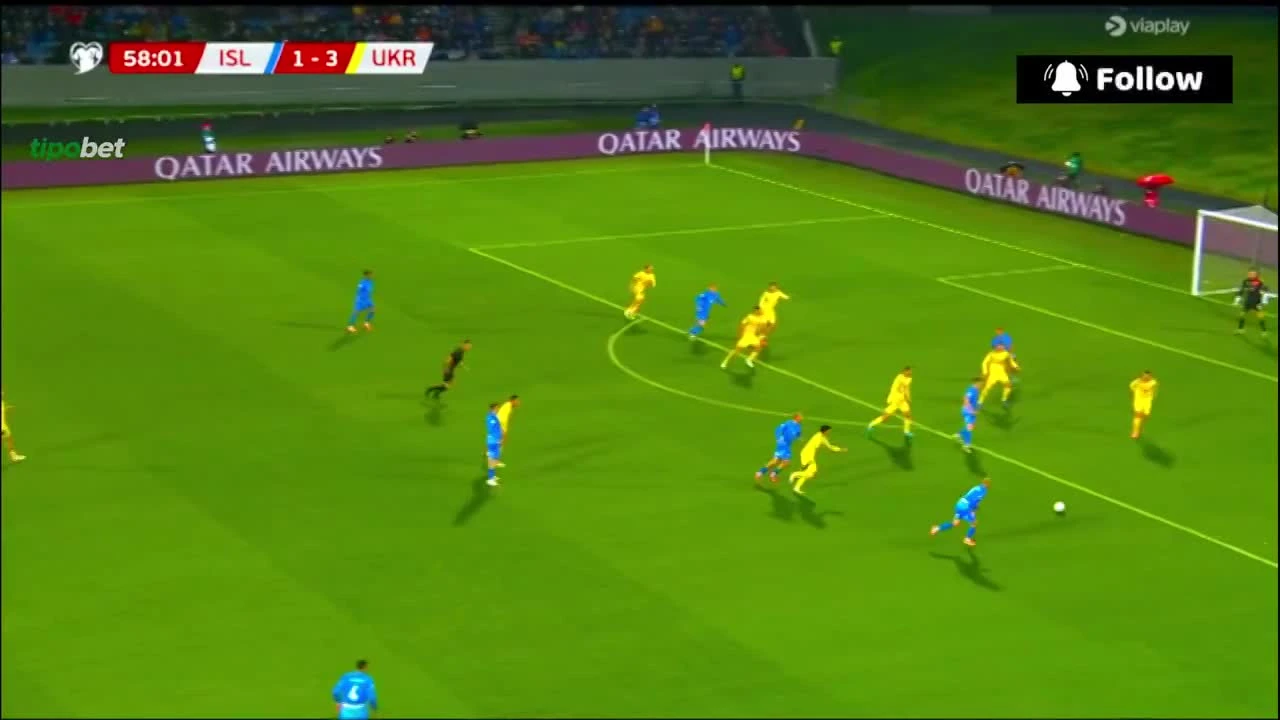 zaslepka skrotu video