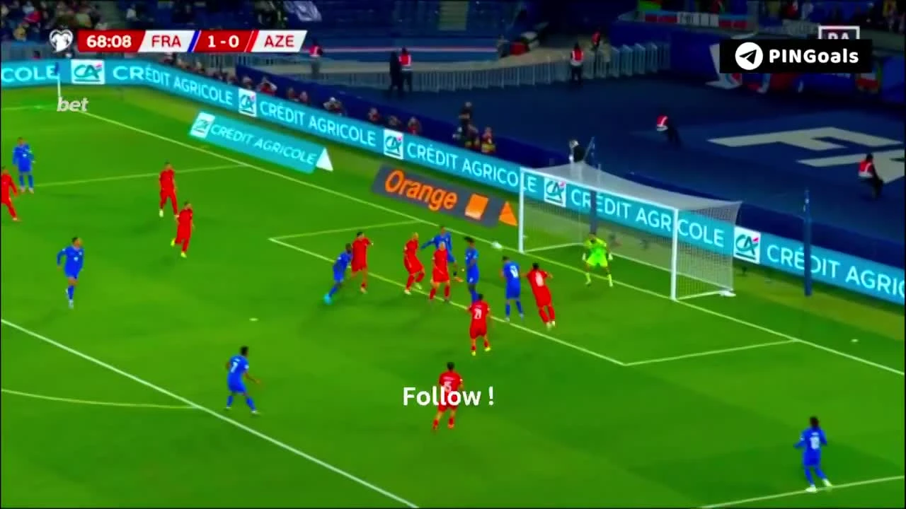 zaslepka skrotu video