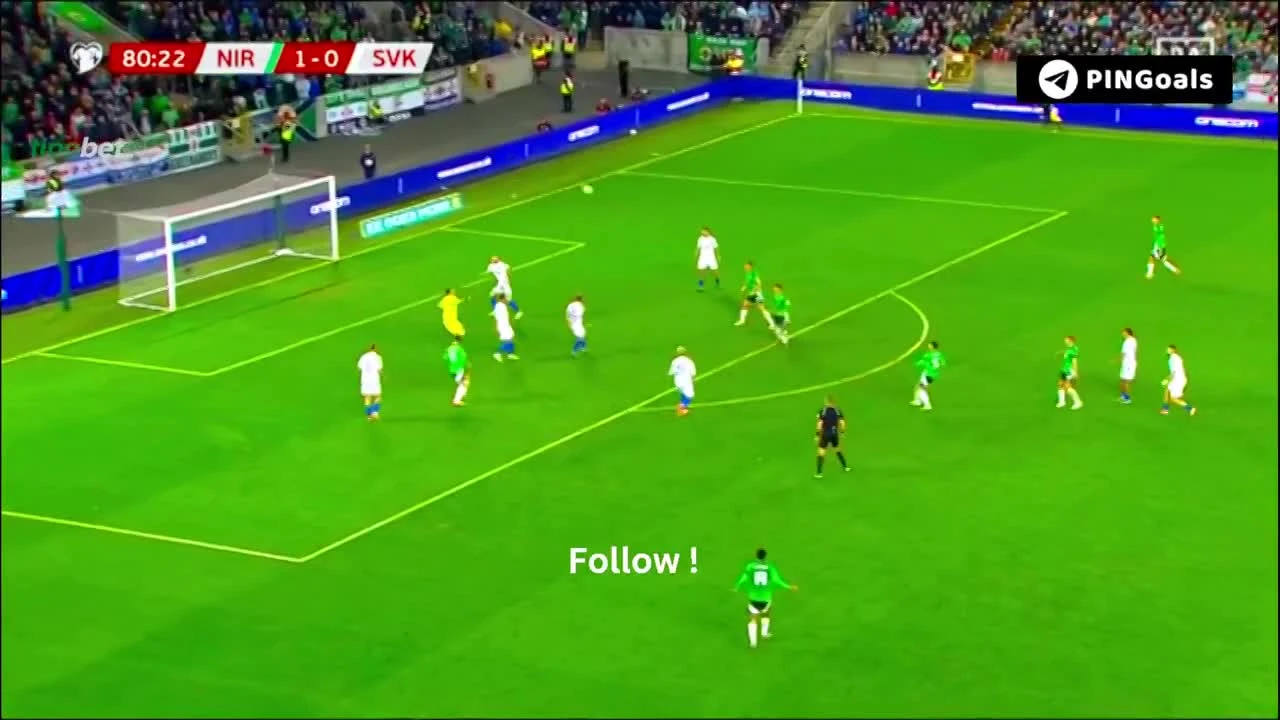 zaslepka skrotu video
