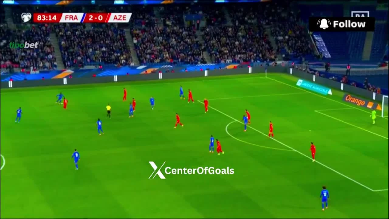 zaslepka skrotu video