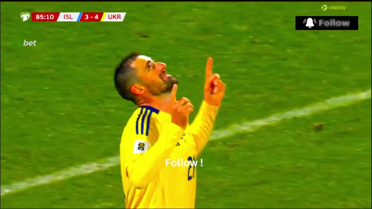 zaslepka skrotu video