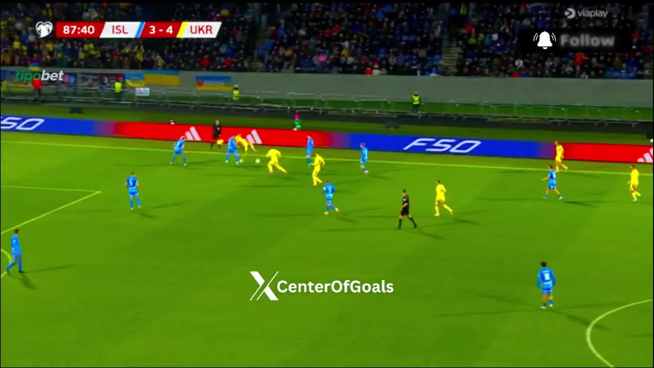 zaslepka skrotu video