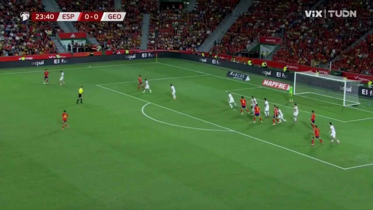 zaslepka skrotu video