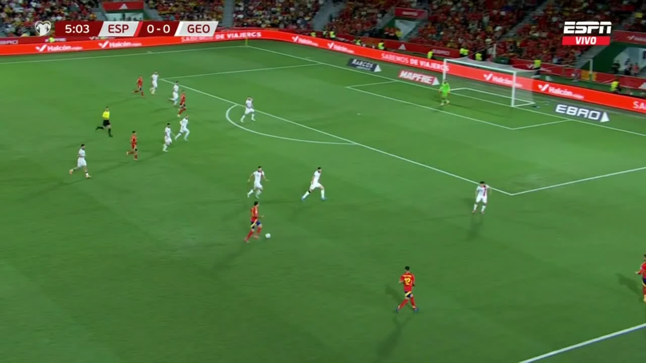zaslepka skrotu video