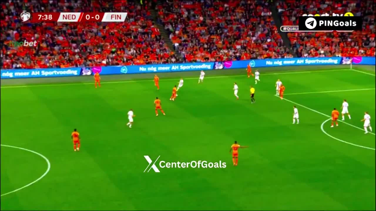 zaslepka skrotu video