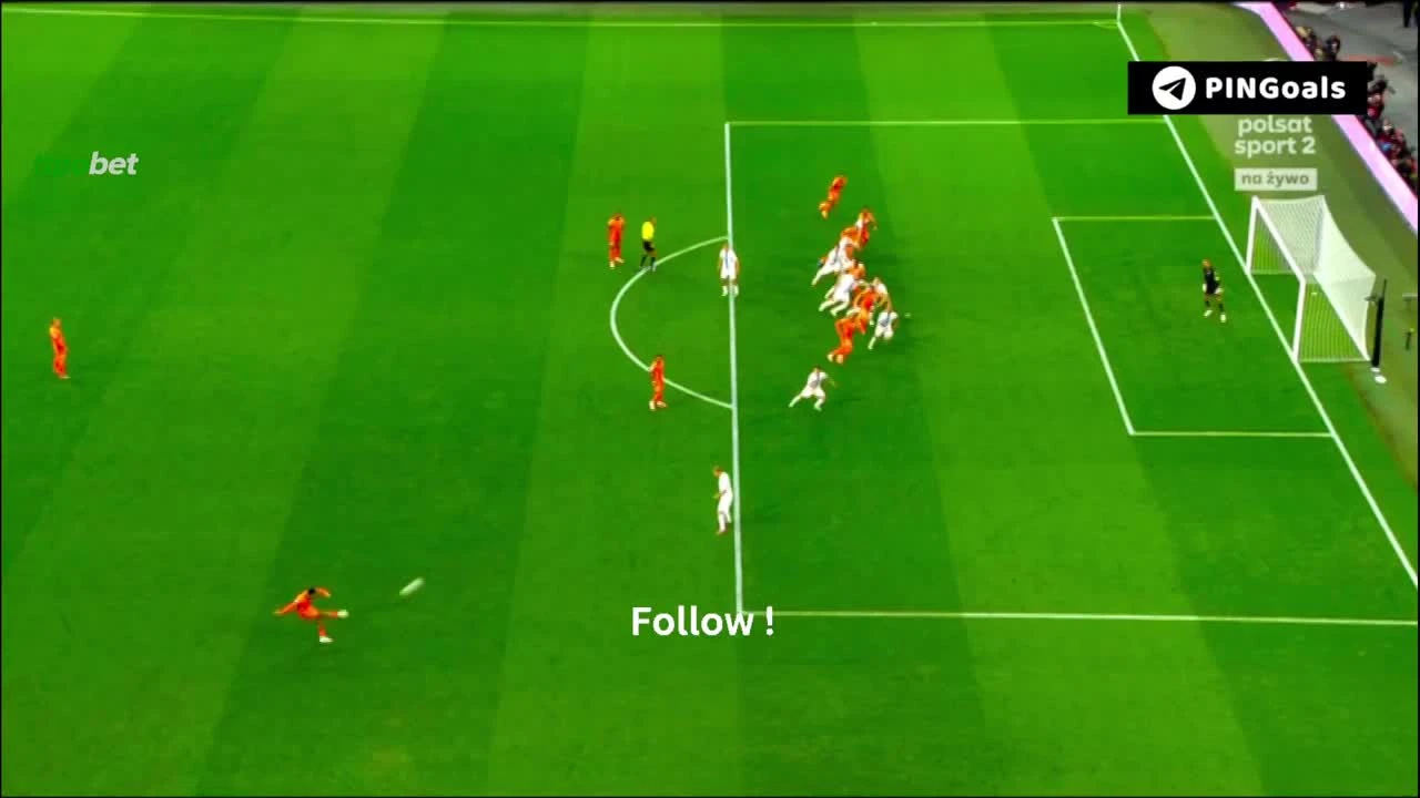 zaslepka skrotu video