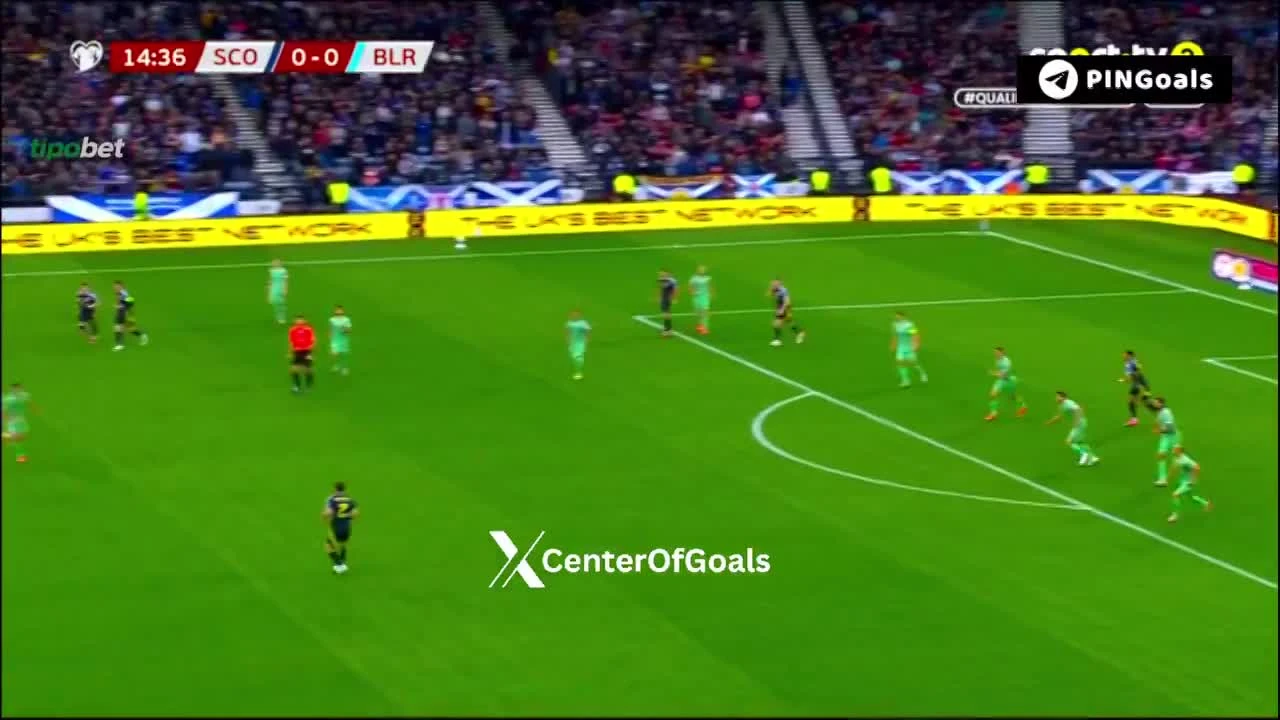 zaslepka skrotu video