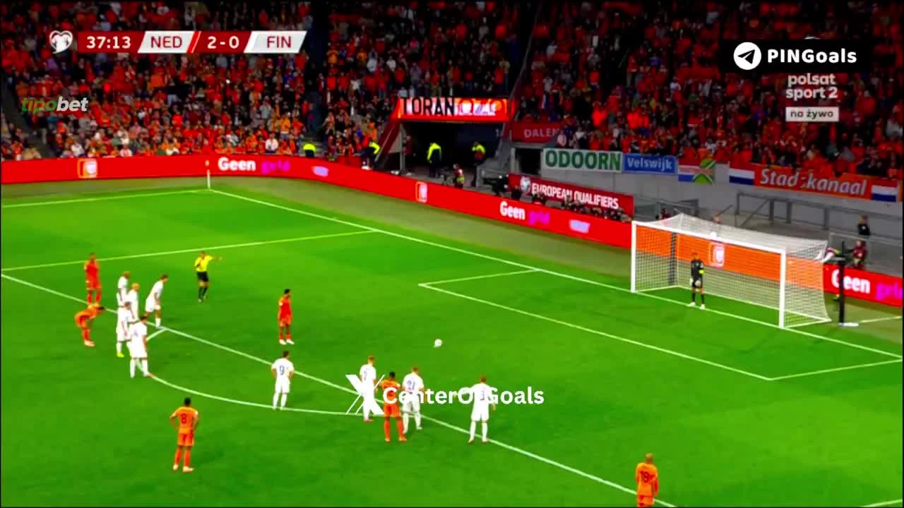 zaslepka skrotu video