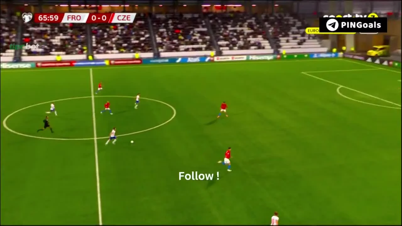 zaslepka skrotu video