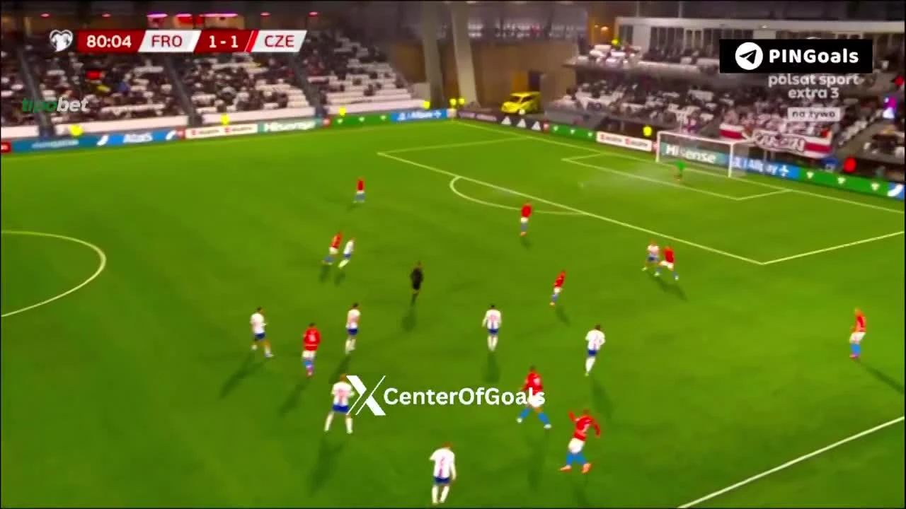 zaslepka skrotu video