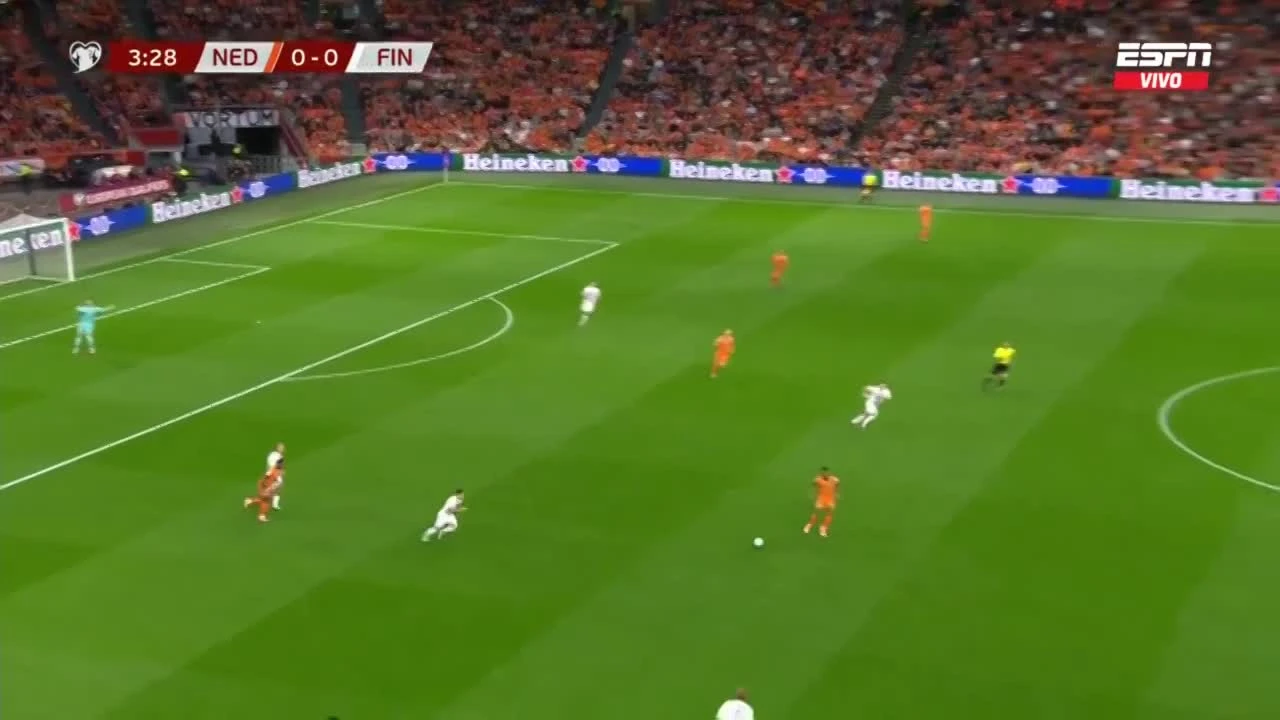 zaslepka skrotu video