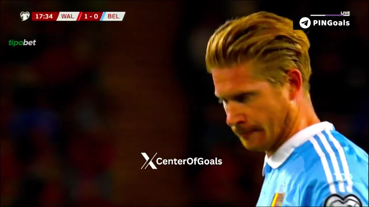 zaslepka skrotu video