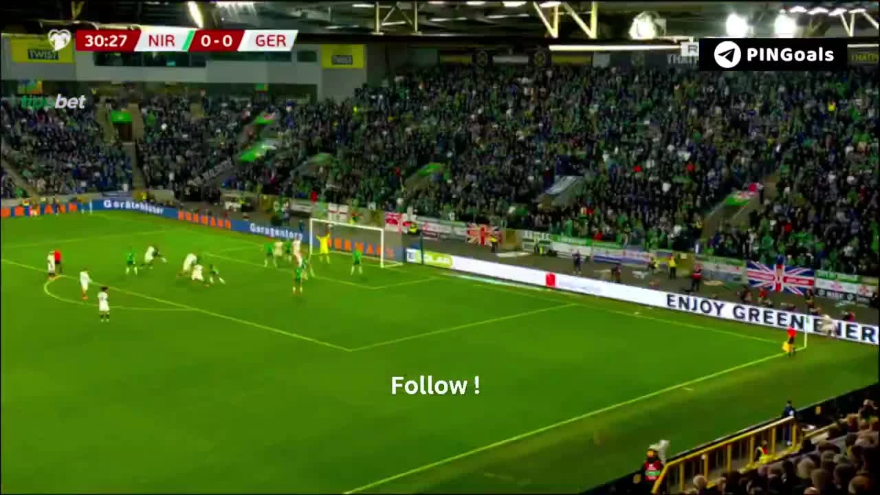 zaslepka skrotu video