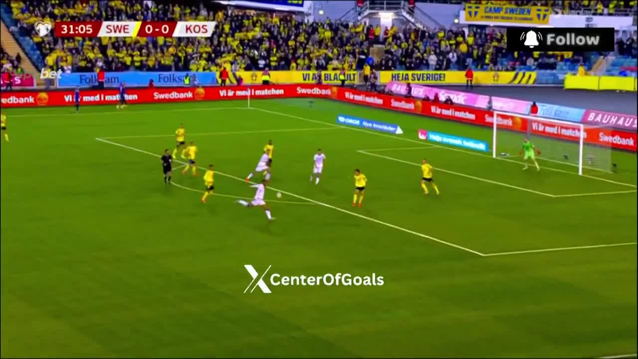 zaslepka skrotu video