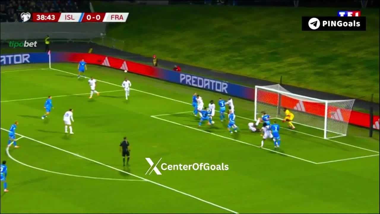 zaslepka skrotu video