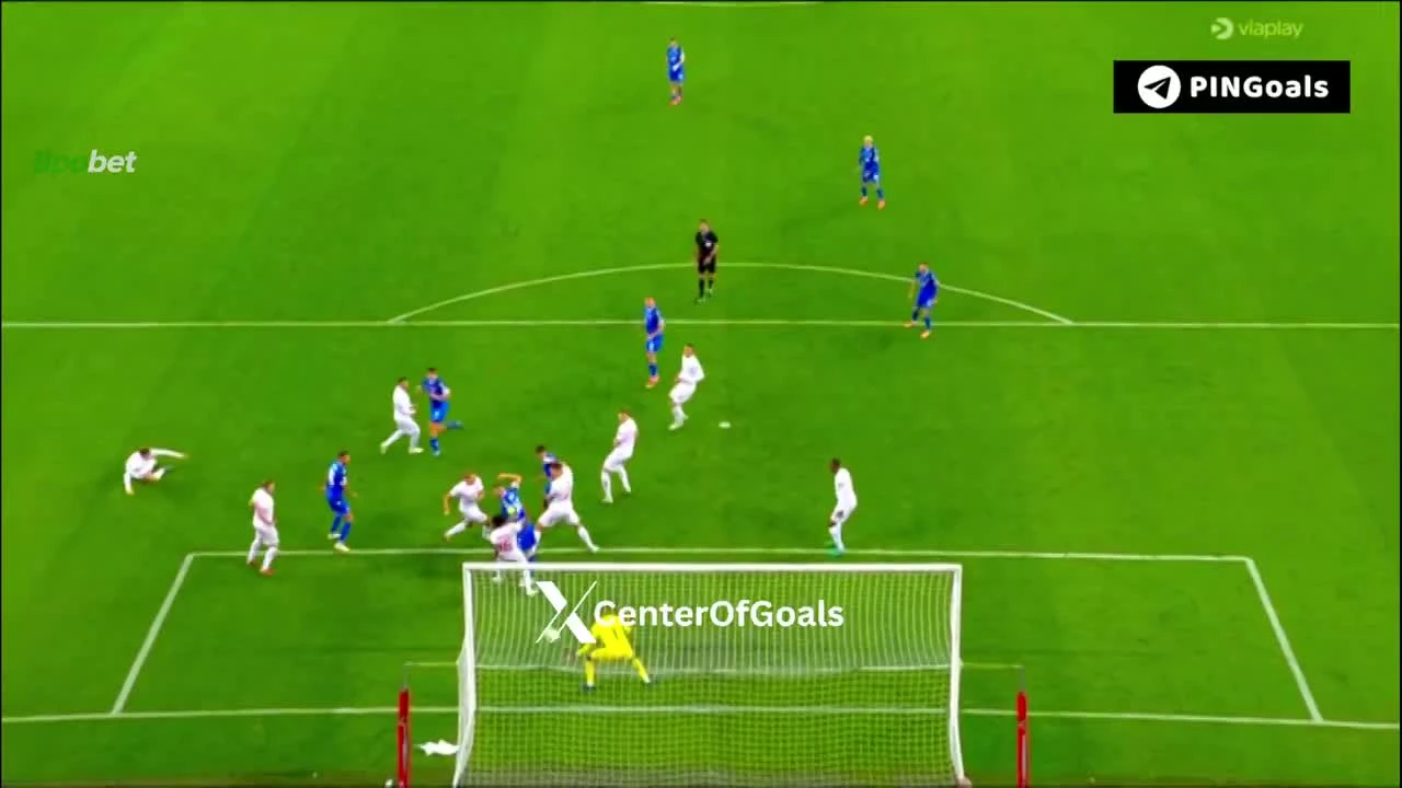 zaslepka skrotu video