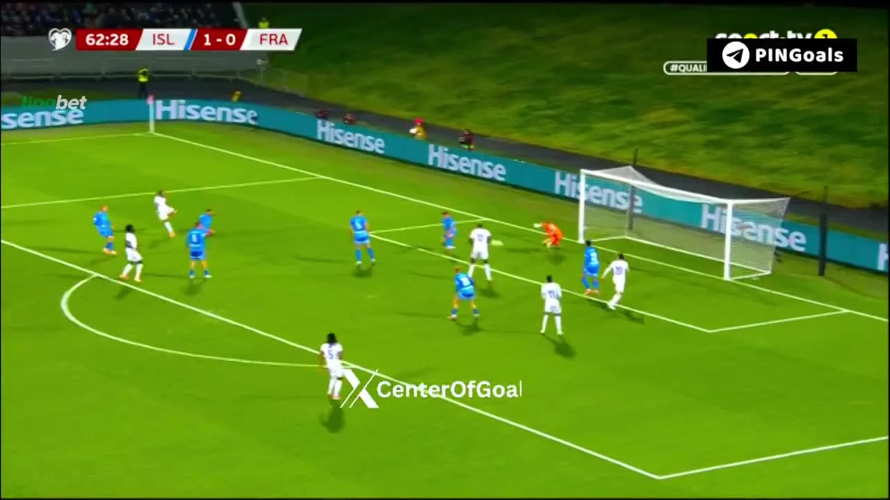 zaslepka skrotu video