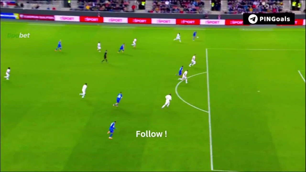 zaslepka skrotu video